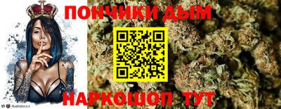 мдпв Будённовск