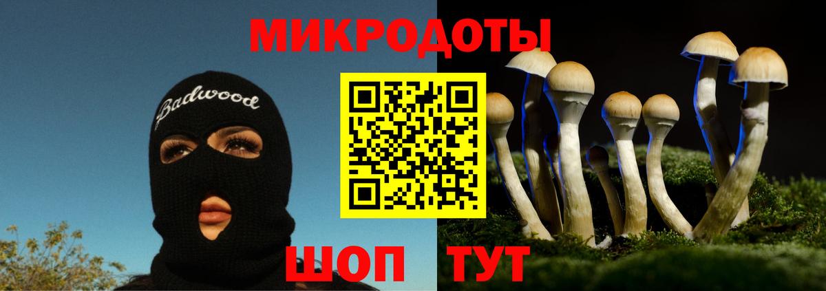 Псилоцибиновые грибы Psilocybe Ликино-Дулёво